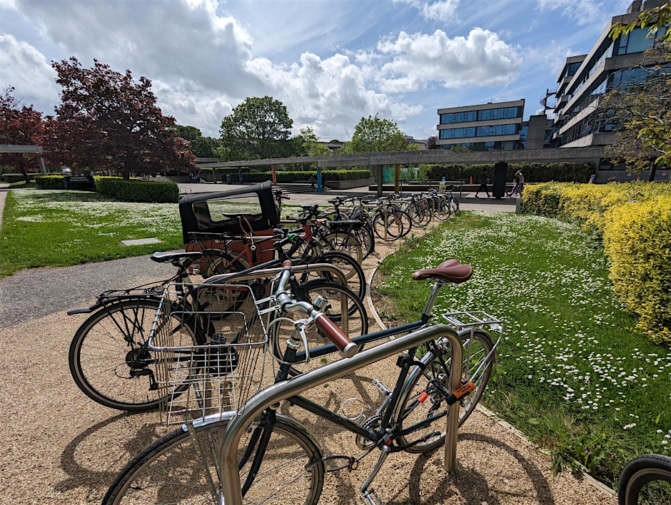 Bike Clinic - Free Tune Up & Half price parts\n(09:00 - 17:00) - UCD Bikes